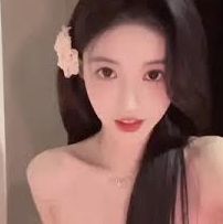 介绍内容